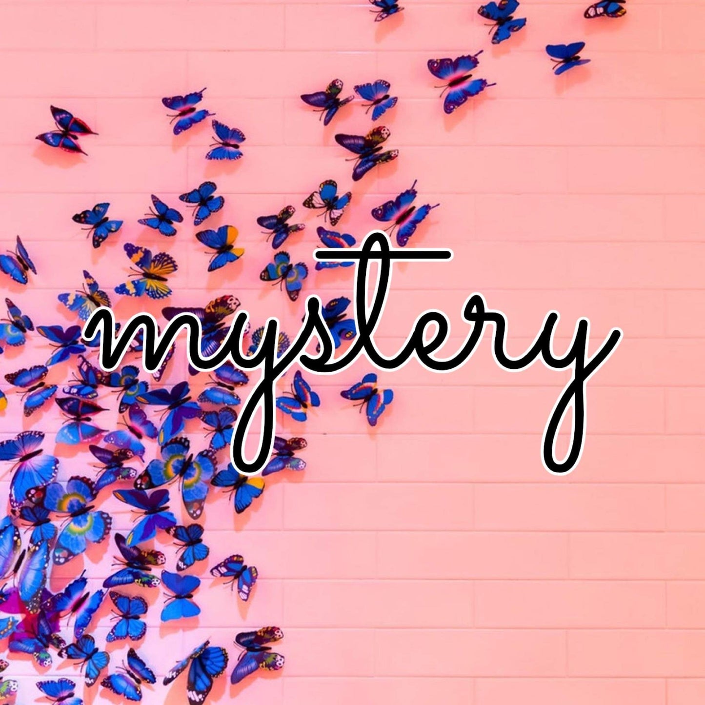 Mystery Discount Shorties